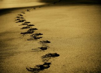 Opłacalność wynajmu autokarów