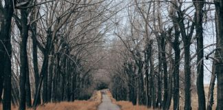 Rynek Główny w Krakowie