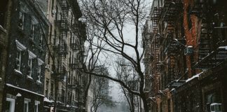 Zysk ciągle wzrasta