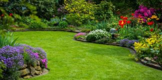 Suszarka ogrodowa – jaką wybrać?