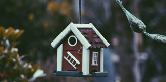 Zakup mieszkania na wynajem – na co zwrócić uwagę?