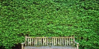 Zadbajmy o meble ogrodowe zimą