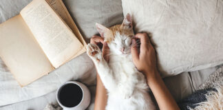 Żwirek dla kota ze srebrem