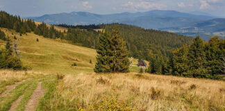 Zielone atrakcje w Ustroniu