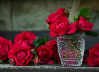 Do jakiego pojemnika wyrzucać pety po papierosach?