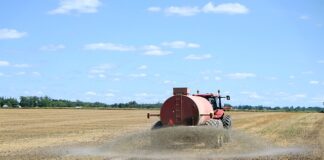 Ile nawozu na 1 m2 trawnika?