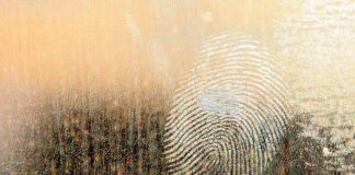 Jaki smar do łożysk wysokoobrotowych?