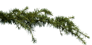 Kto zajmuje się zatkana toaleta?