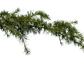 Kto zajmuje się zatkana toaleta?