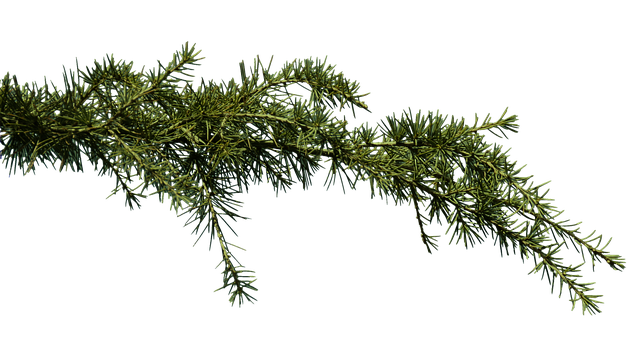 Kto zajmuje się zatkana toaleta? Kto zajmuje się zatkana toaleta?