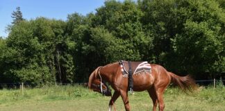 Jak zamontować listwy przy suficie?