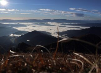 Gdzie wyrzucać talerze porcelanowe?