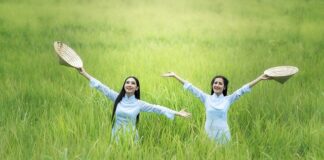 Jaką szerokość grządki podwyższonej?