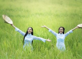 Jaką szerokość grządki podwyższonej? Jaką szerokość grządki podwyższonej?