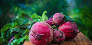 Czy buraki trzeba obierać do wyciskarki?