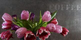 Do czego służą sprężyny?