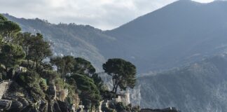 Ile kosztuje litr miodu od pszczelarza?