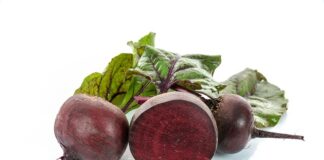 Dlaczego nadmiar nawozów i soli szkodzi roślinom?