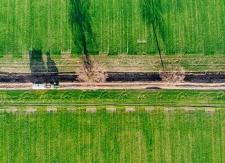 Jaki kupić rozsiewacz do nawozów? Jaki kupić rozsiewacz do nawozów?