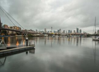 Jak przygotować glebę pod uprawę warzyw? Jak przygotować glebę pod uprawę warzyw?