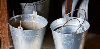 Ile kosztuje tłocznia soków?