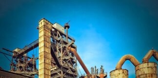 Ile można zarobić na produkcji miodu?