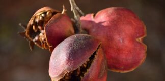 Dlaczego pękają fugi na podłodze?