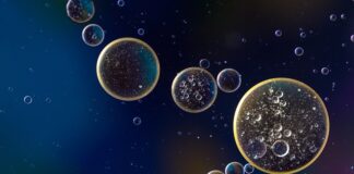 Ile kosztuje wymiana oleju w kosiarce?