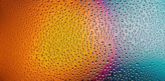 Czy myć nowe słoiki do miodu?