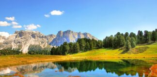 Jak używać siewnika Gardena?