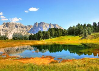 Jak używać siewnika Gardena?