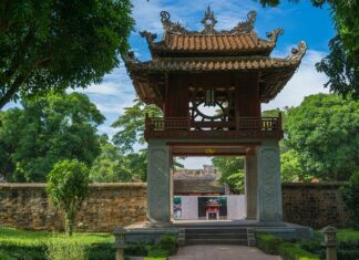 Jakie gałęzie do grządek? Jakie gałęzie do grządek?