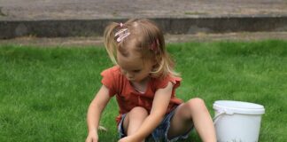 Kiedy najlepiej zasiać trawę?