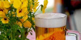 Jak zrobić ogródek warzywny z palet?