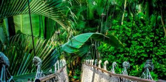 Jakie kursy warto zrobić w 2023?