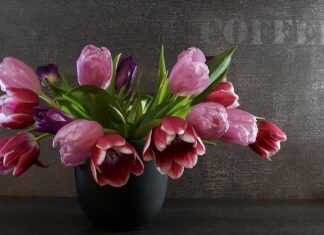 Co dają sprężyny progresywne? Co dają sprężyny progresywne?