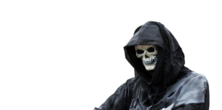 Jak dbać o kosę spalinową?