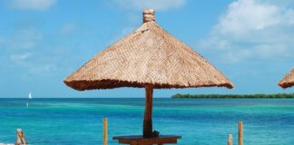 Czym się różni uszczelniacz od silikonu?