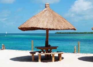 Czym się różni uszczelniacz od silikonu? Czym się różni uszczelniacz od silikonu?