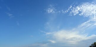 Co opłaca się uprawiać na działce?