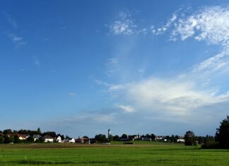 Co opłaca się uprawiać na działce? Co opłaca się uprawiać na działce?