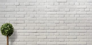 Jakie doniczki do pelargonii?