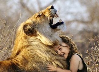 Jaka spirala jest najlepsza? Jaka spirala jest najlepsza?