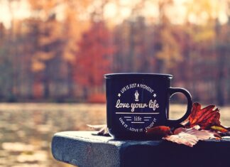 Co lepsze moment czy moc?