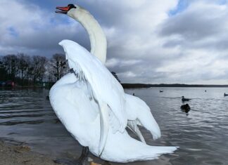 Jak się rozkłada wersalka?