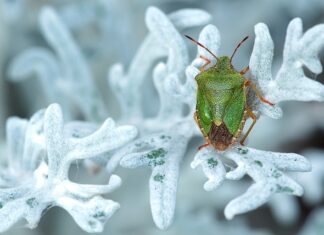 Jakie BMW jest tanie w utrzymaniu?
