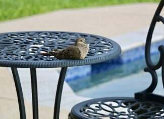 Ile może stać woda w basenie? Ile może stać woda w basenie?