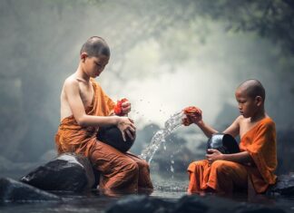 Ile kosztuje czyszczenie dywanu karcherem?