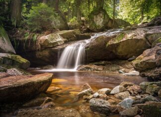 Co oznacza litera R na kopercie?