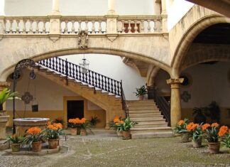 Z czego donice na balkon? Z czego donice na balkon?